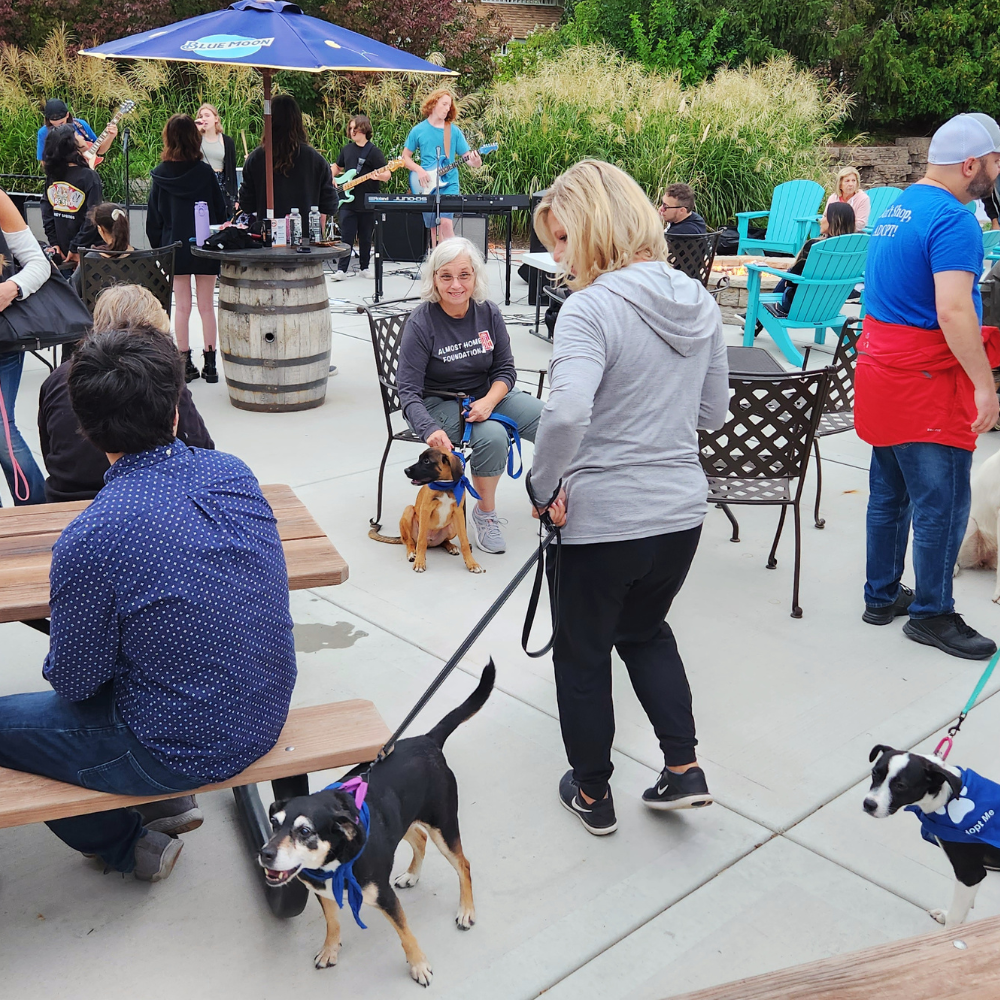 BPC - WEB IMAGE Beer Garden 6